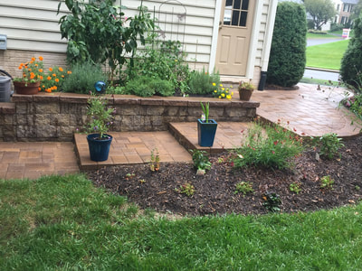 Paver patio and walkway with steps and raised beds. 