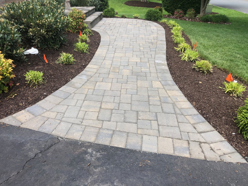 Paver Walkway from driveway to stoop.  Paver  stoop and steps with bullnose. 