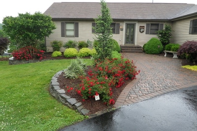 Paver walkway. Paver steps with bullnose pavers.  Stacked stone walls. 