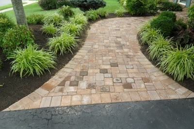 Paver walkway and landscaping. 